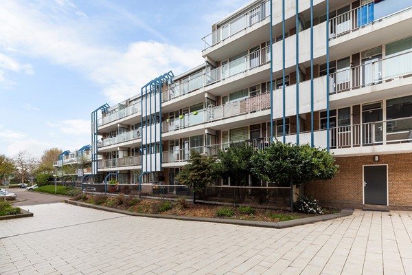 Zadkinerade 17_03.jpg